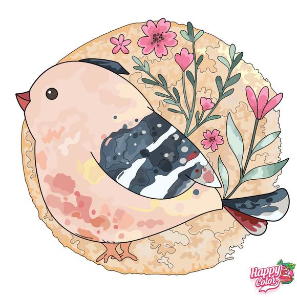 Meet your Posher, Shannon - Picture 1 of 1